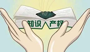 高校申请知识产权的典型案例和趋势